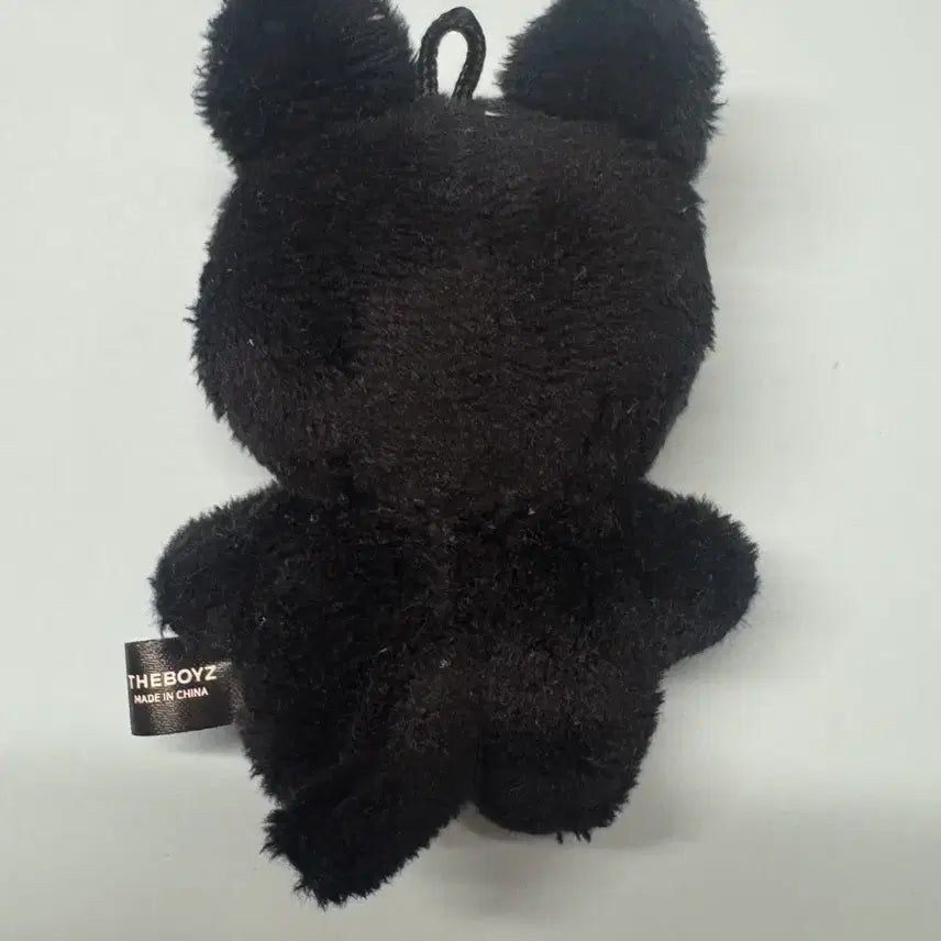 [BUNJANG] The Boyz Sunwoo Official Plush Doll / 더보이즈 선우 공식 인형
