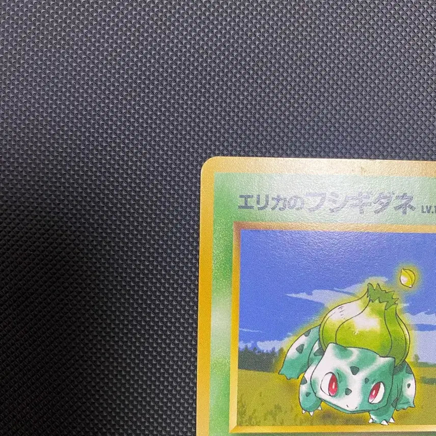 [BUNJANG] Pokemon Card Erika&