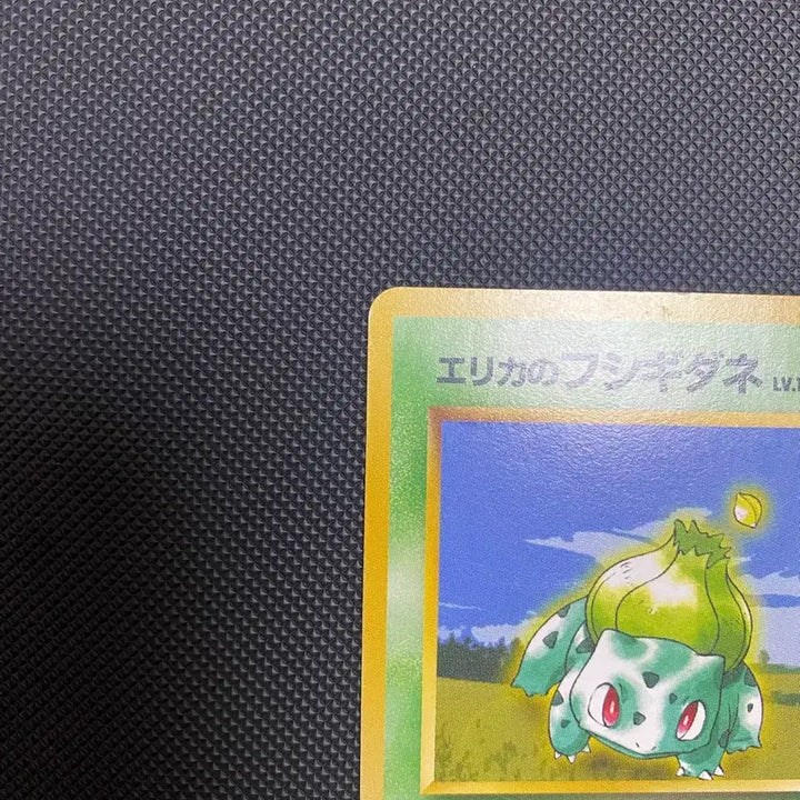 [BUNJANG] Pokemon Card Erika&
