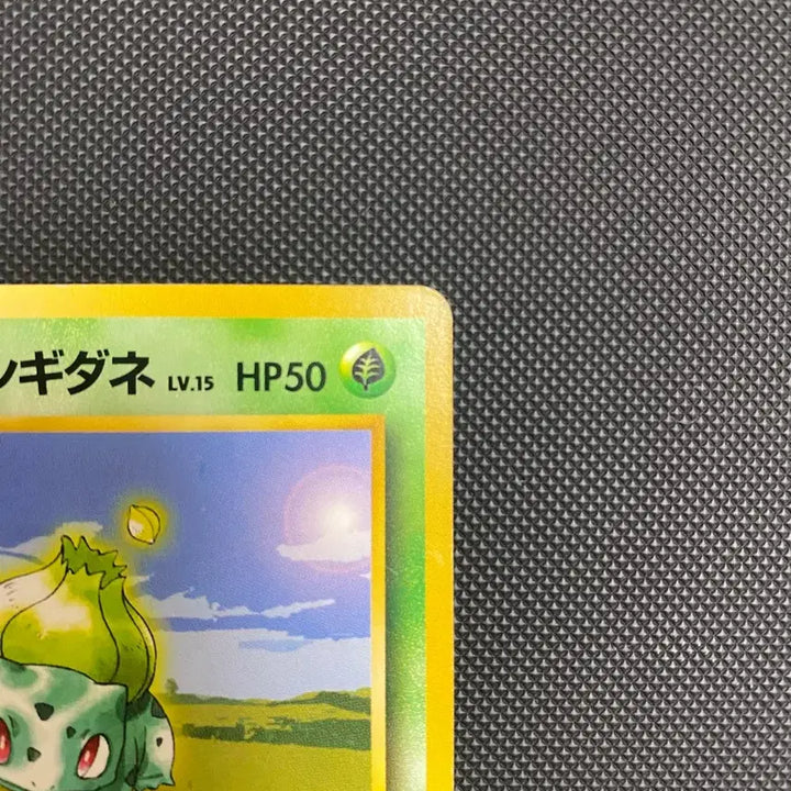 [BUNJANG] Pokemon Card Erika&