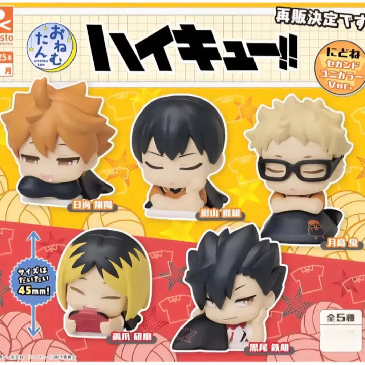 [BUNJANG] Haikyuu!! Onemutan Gacha Figures 1st, 2nd, 3rd Series Bundle Set / (11종 일괄) 하이큐 오네무탄 가챠 피규어 1탄 2탄 3탄