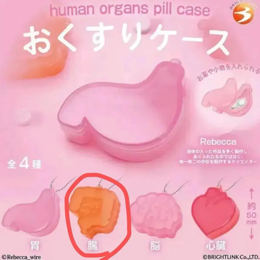 [BUNJANG] Okusuri Long-Term Medicine Case Organizer (Large) / 오쿠스리 장기 약 케이스 보관함 가챠 (장)