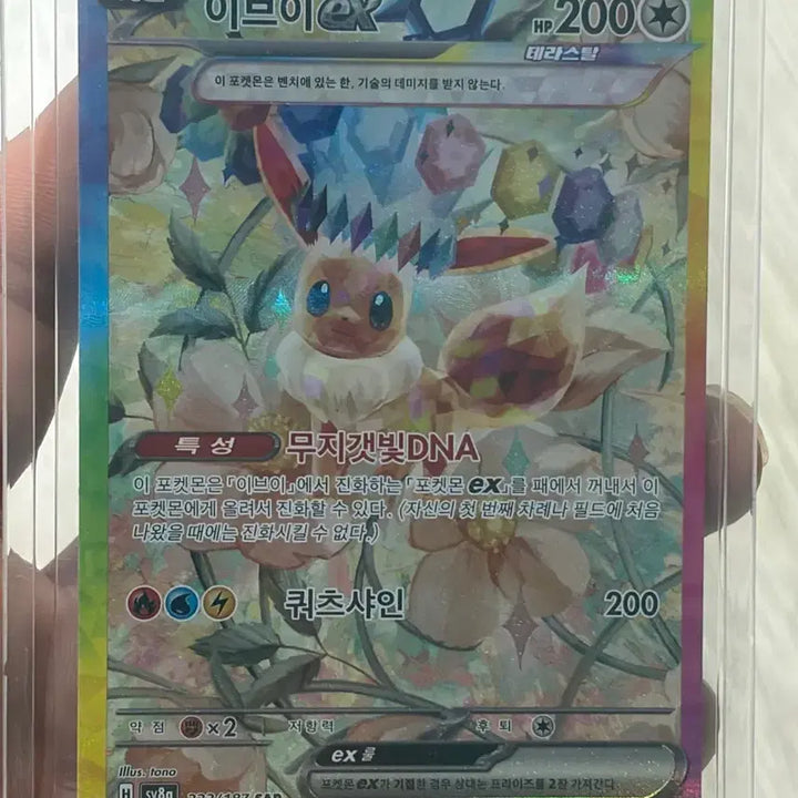 [BUNJANG] Pokemon Card Eevee EX 223/187 SAR / 포켓몬 카드  테라스탈 이브이 EX SAR