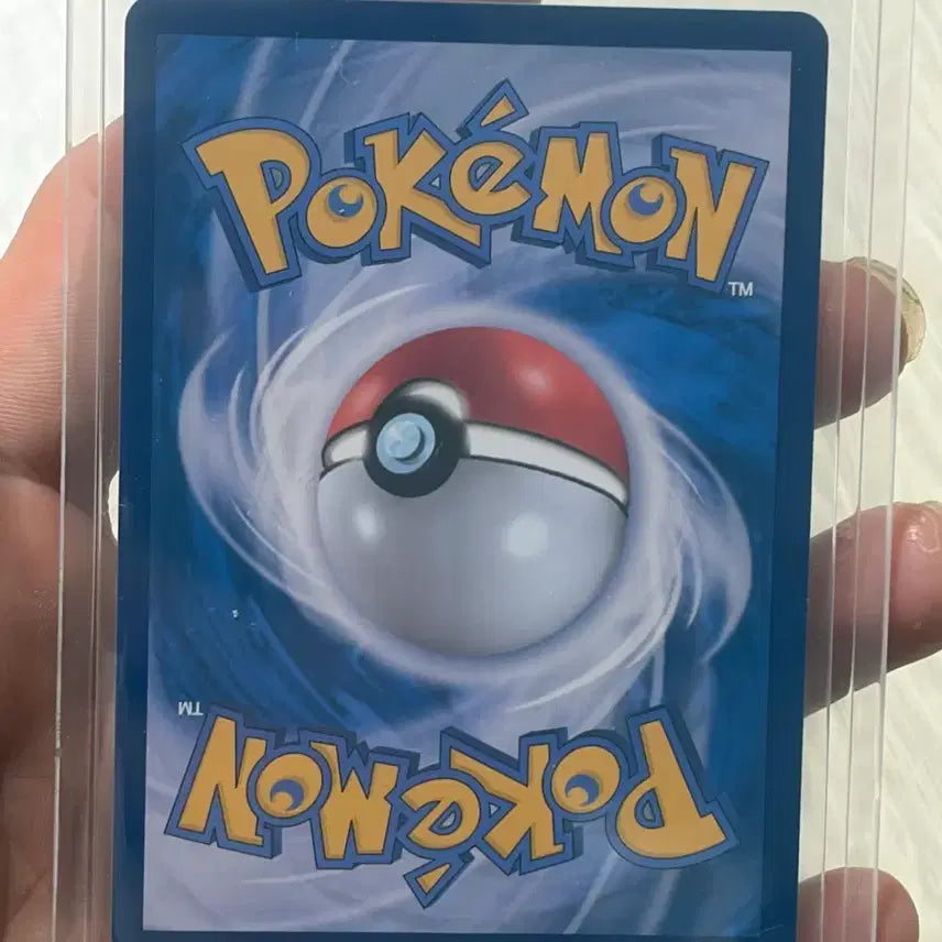 [BUNJANG] Pokemon Card Eevee EX 223/187 SAR / 포켓몬 카드  테라스탈 이브이 EX SAR