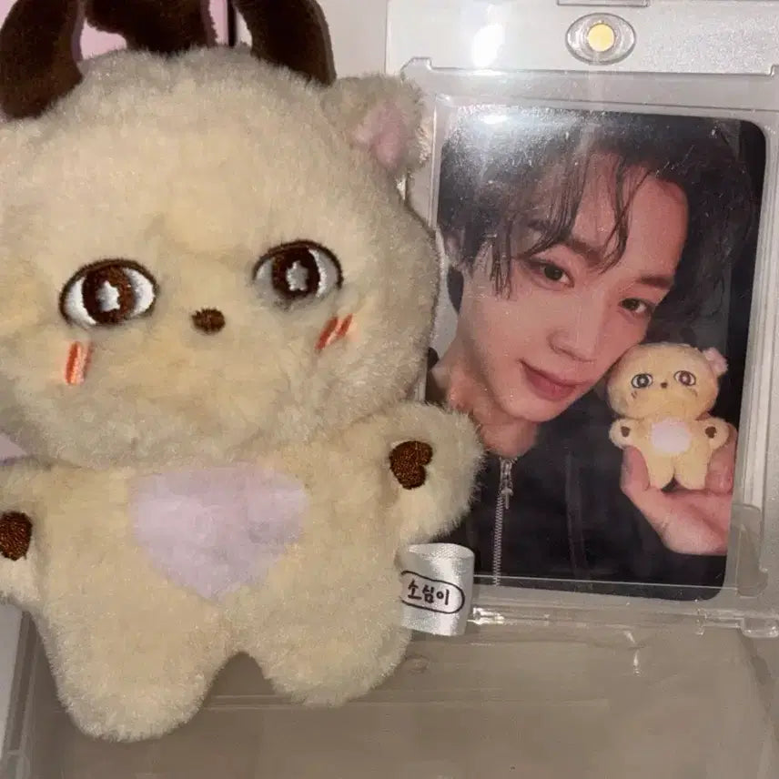[BUNJANG] Park Jihoon "Sosimi" &amp; Byeon Woo Seok Season&