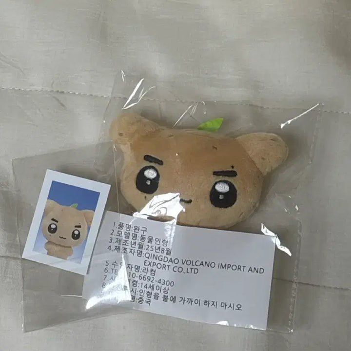 [BUNJANG] Ghost9 Junseung Gunadi Doll / 건나디 미개봉 인형