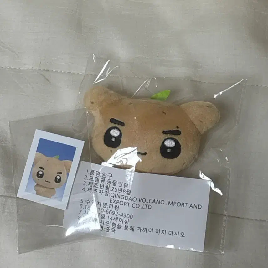 [BUNJANG] Ghost9 Junseung Gunadi Doll / 건나디 미개봉 인형