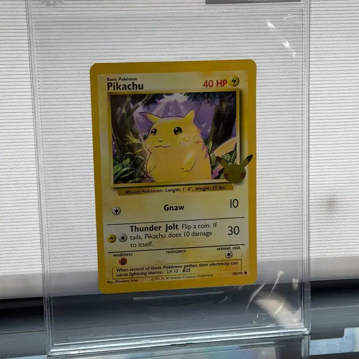 [BUNJANG] Pokemon 25th Anniversary Pikachu Jumbo Card BGS 8.5 / 2021 포켓몬 카드 25주년 피카츄 점보 카드 BGS 8.5