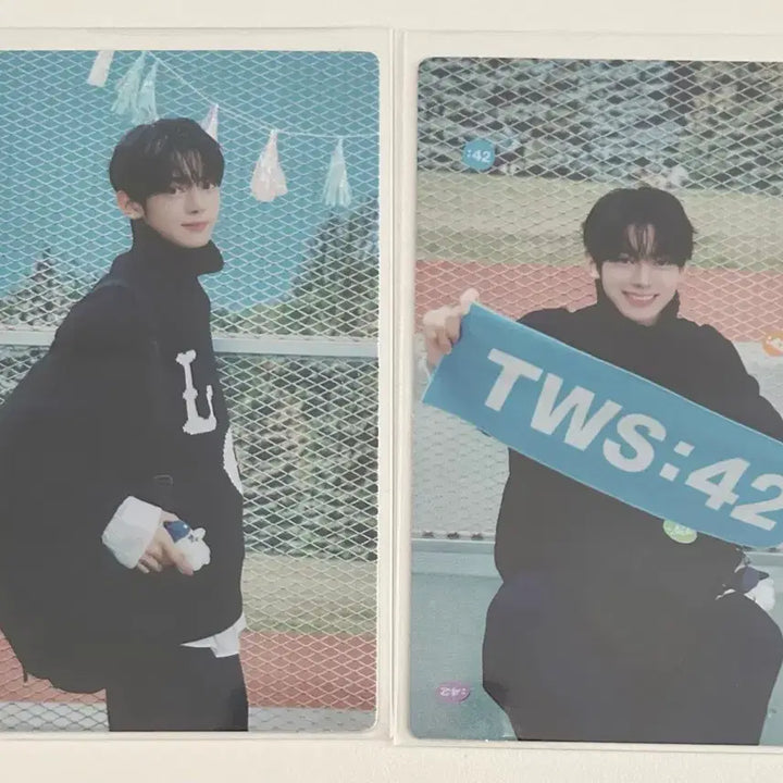 [BUNJANG] TWS Hanjin Photocard Bundle Set / 투어스 한진 포카 42클럽