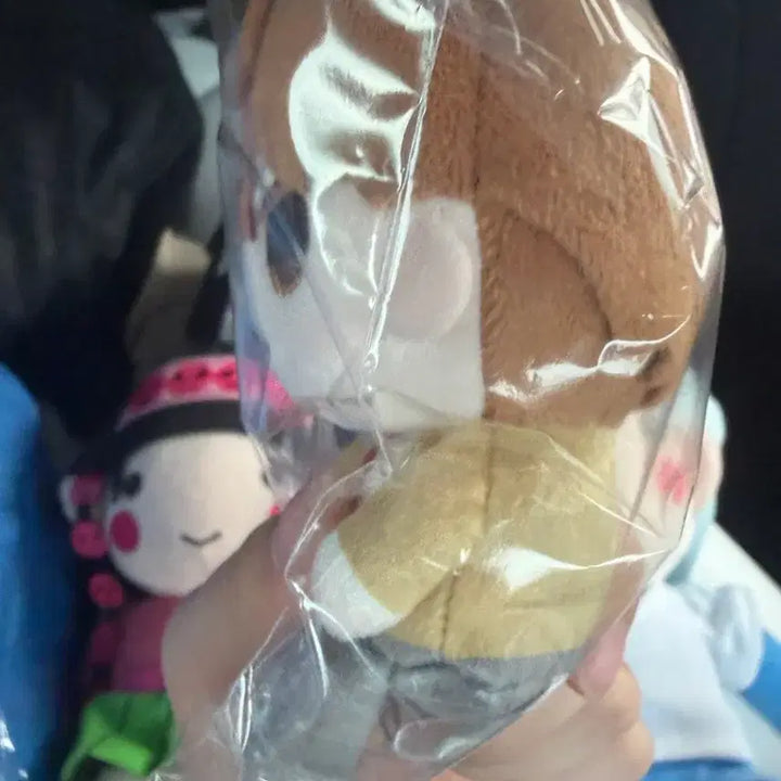 [BUNJANG] Death Note Light Plush / 데스노트 라이토 누이 팝니다