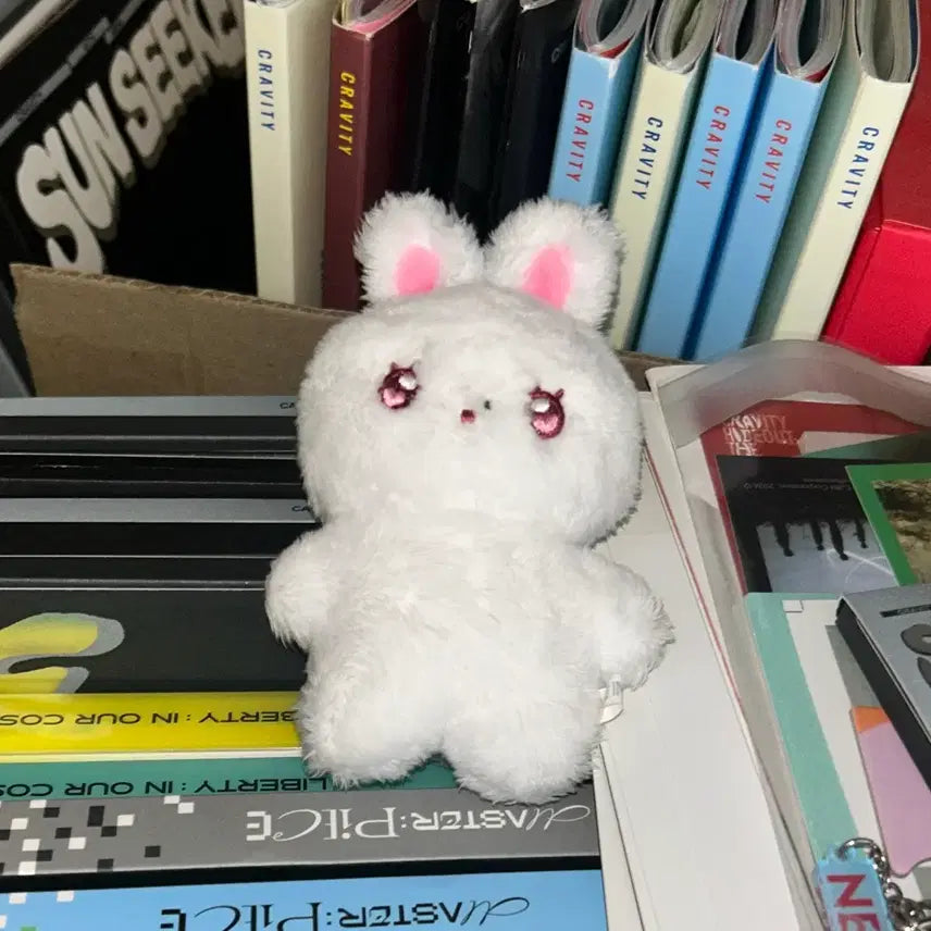 [BUNJANG] Cravity Seongmin Berreppo Plush Doll / 급처) 크래비티 성민 솜인형 베레뽀 양도 탈덕처분