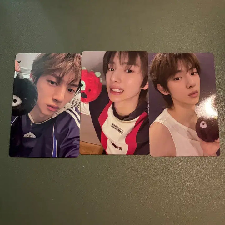 [BUNJANG] Cortisball Joohoon Photocard Set / 코르티스볼 주훈 포카 포토카드3종
