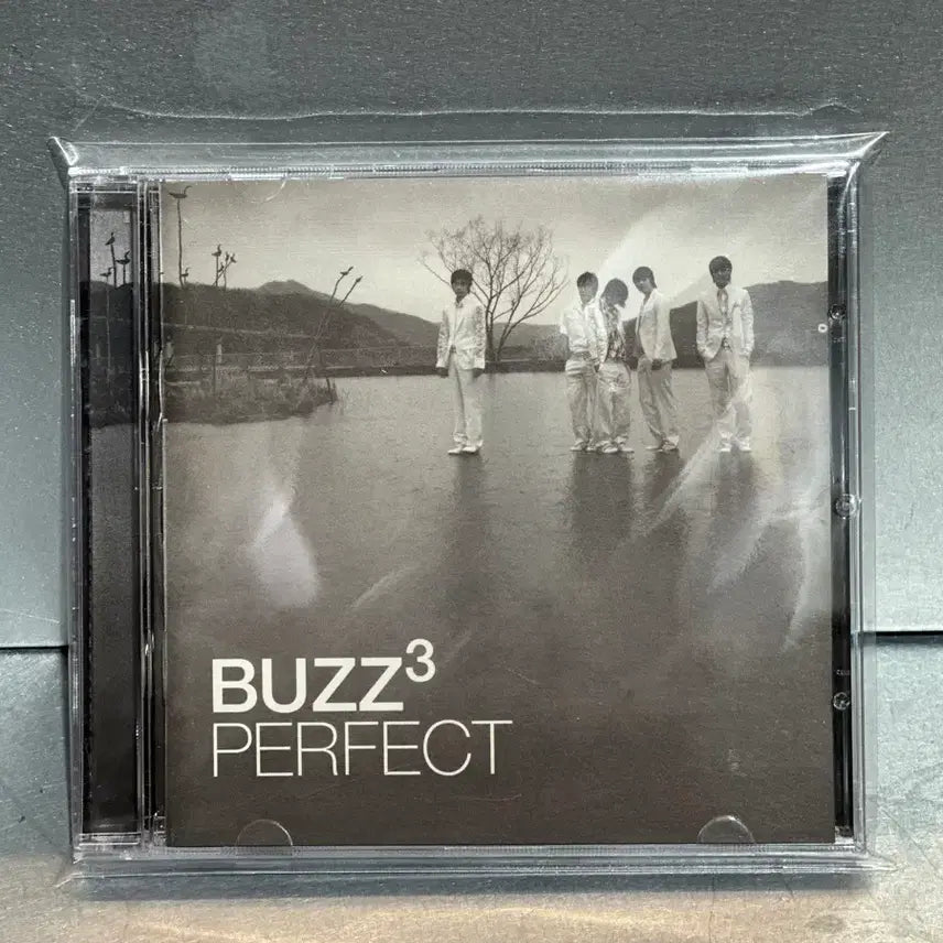 [BUNJANG] Buzz 3rd Album &