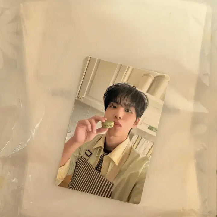 [BUNJANG] DAY6 Wonpil Everglow Photocard / 원필 애블포카