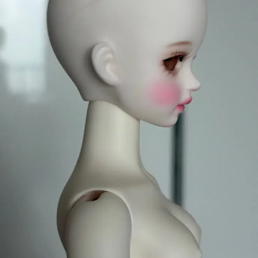 [BUNJANG] LinaShoo NemoPhila Ball-Jointed Doll / 구체관절인형 리나슈슈 네모필라