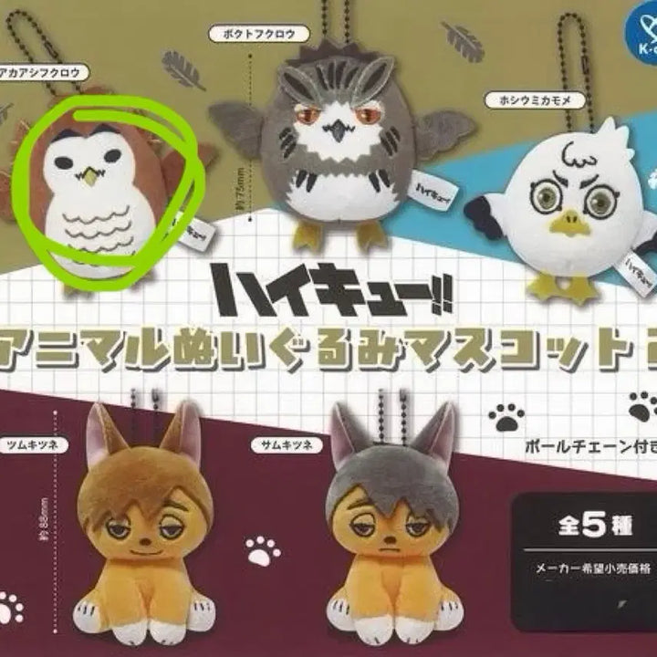 [BUNJANG] Haikyuu!! Akashi Keiji Animal Mascot Plush Nui (Sealed) / 하이큐 아카아시 케이지 애니멀 마스코트 가챠 누이