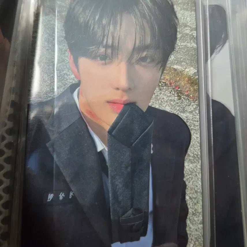 [BUNJANG] JUNG SANGHYEON Euphoria Workshop Photocard / 정상현 유포리아 공방 포토카드