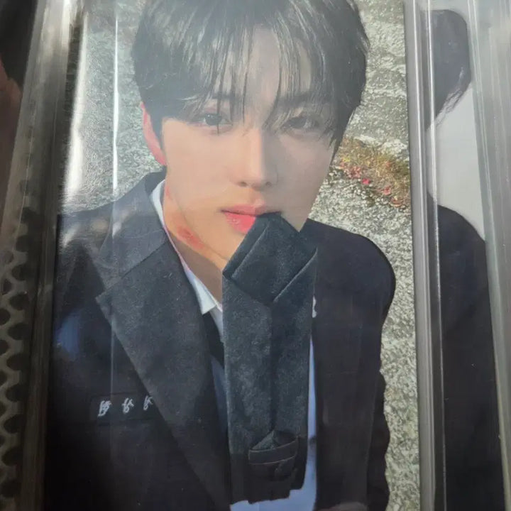 [BUNJANG] JUNG SANGHYEON Euphoria Workshop Photocard / 정상현 유포리아 공방 포토카드
