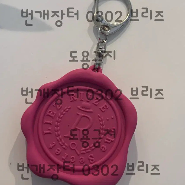[BUNJANG] RIIZE Wonbin Japan Fanmeeting MD Voice Keychain / 라이즈 원빈 일본 팬미팅 md 보이스키링