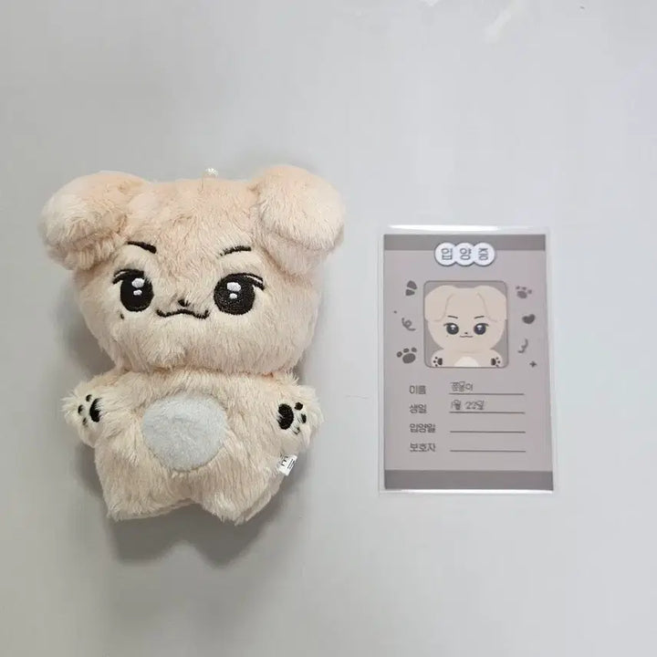 [BUNJANG] Lee Junyoung 10cm Doll Jjunmong / 급처 ) 이준영 10cm 인형 쭌몽이