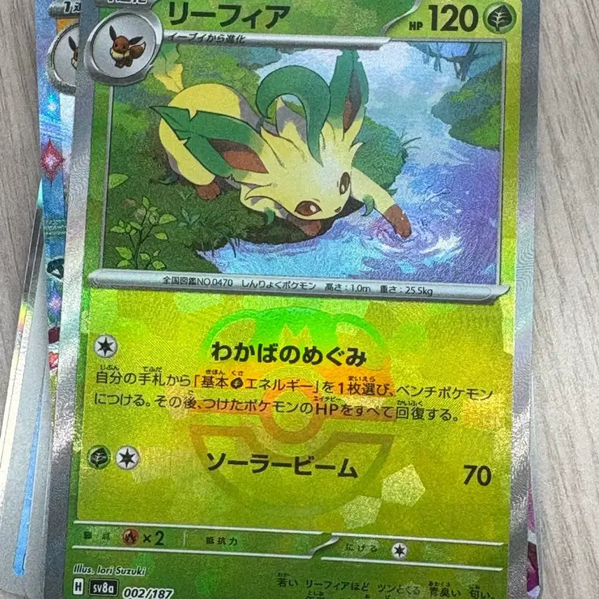 [BUNJANG] Pokemon TCG Japanese Rhydon Master Ball Holo / 일판 리피아 마스터볼 판매
