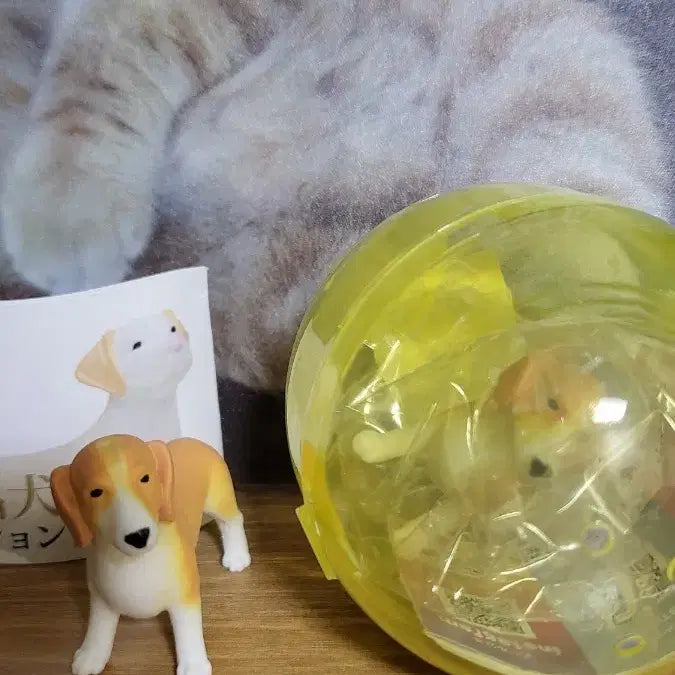 [BUNJANG] World Famous Dogs Selection 2 Series Beagle / 세계 명견 셀렉션 2 시리즈 중 비글