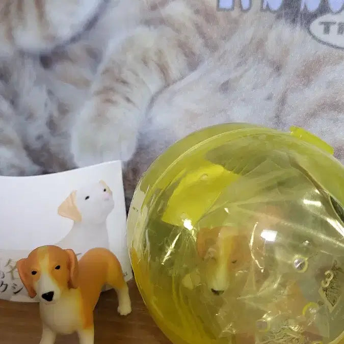 [BUNJANG] World Famous Dogs Selection 2 Series Beagle / 세계 명견 셀렉션 2 시리즈 중 비글