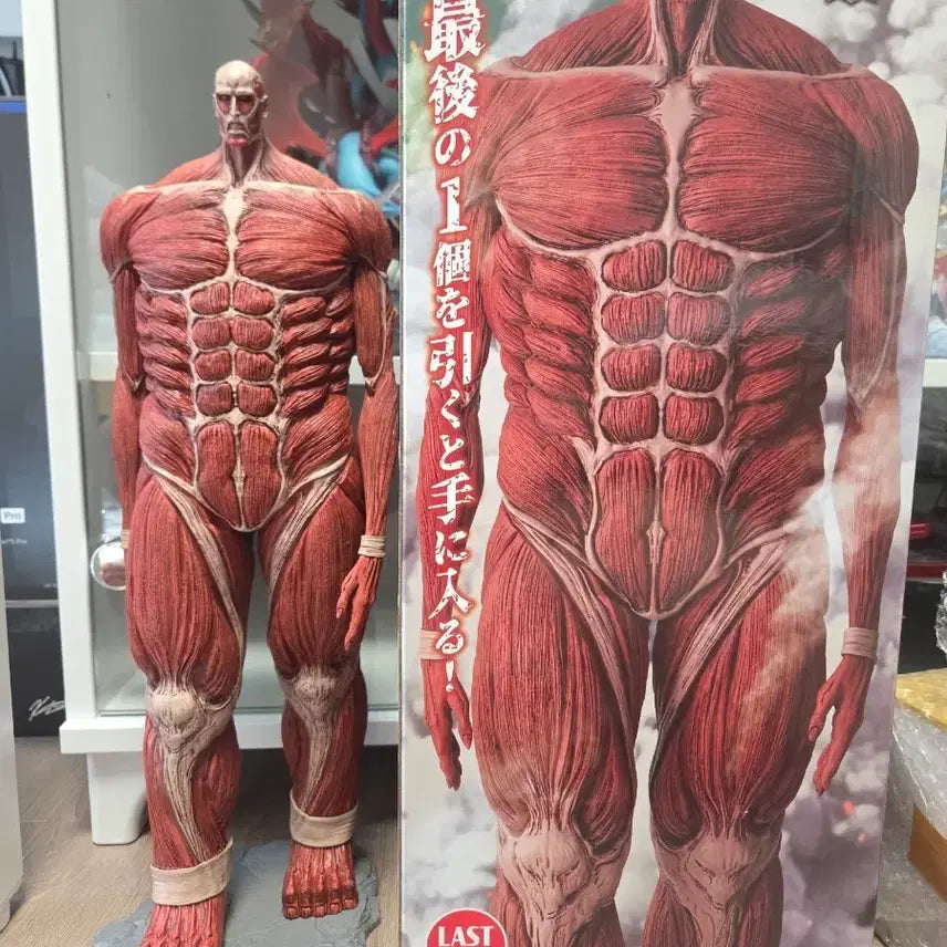 [BUNJANG] Attack on Titan Colossal Titan Ichiban Kuji Last One Prize (Opened, Excellent Condition) / 제일복권 진격거 초대형거인 라스트원 개봉양품
