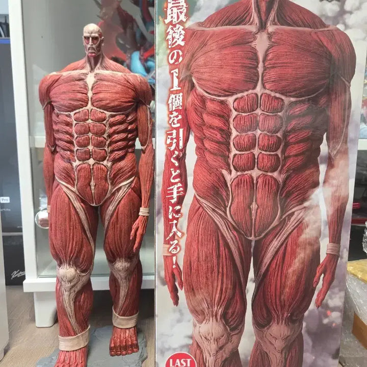 [BUNJANG] Attack on Titan Colossal Titan Ichiban Kuji Last One Prize (Opened, Excellent Condition) / 제일복권 진격거 초대형거인 라스트원 개봉양품