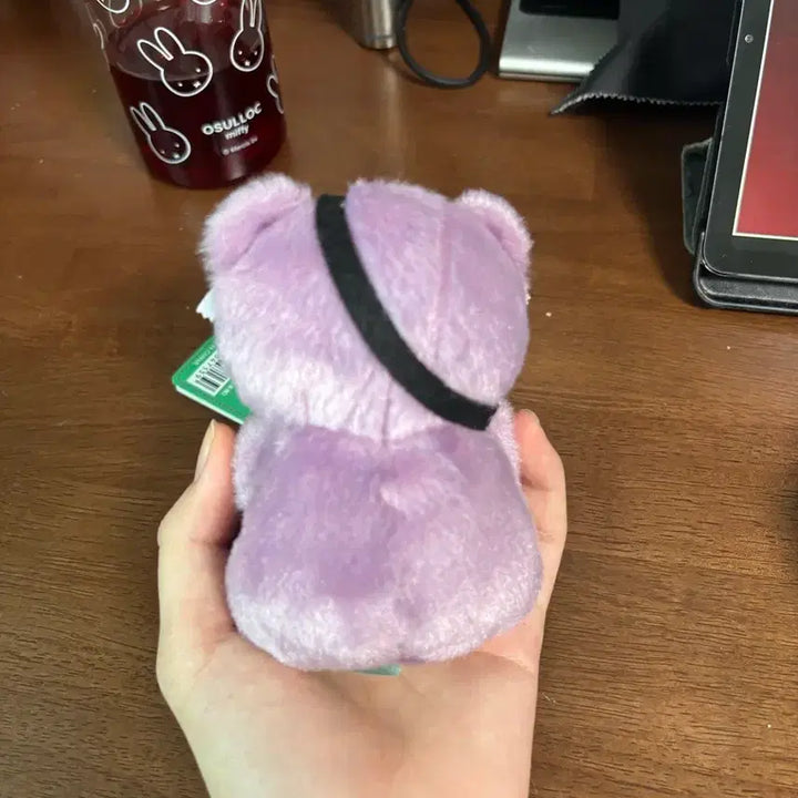 [BUNJANG] Wind Breaker Puchibear Mascot Plush - Suo / 윈드 브레이커 윈브레 푸치베어 마스코트 인형 스오