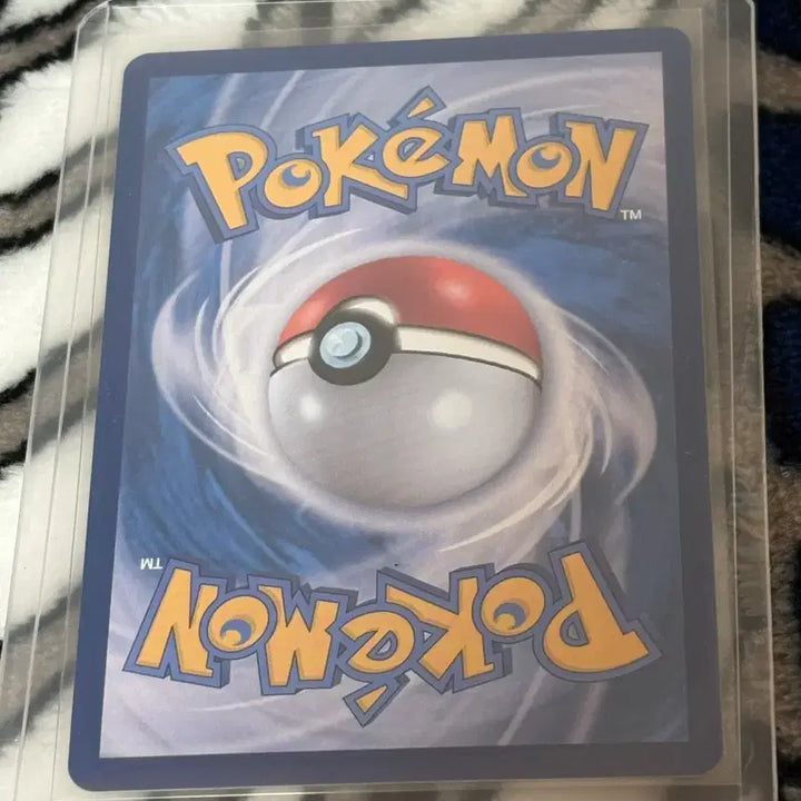 [BUNJANG] Pokemon Card Bel&