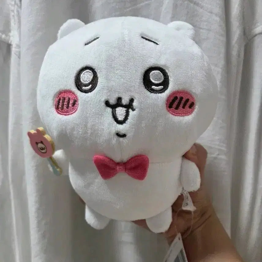 [BUNJANG] FURYU Chiikawa "Racco with Me" Series Plush / 후류 치이카와 랏코와함께 시리즈