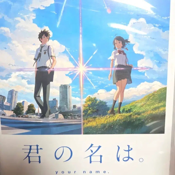 [BUNJANG] Your Name. DVD (Korean Release) 2-Disc Set / (현재 절판)너의 이름은 DVD 정발판 2Disk