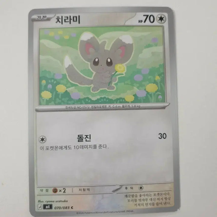 [BUNJANG] Chirami Pokemon Card / 치라미 포켓몬카드