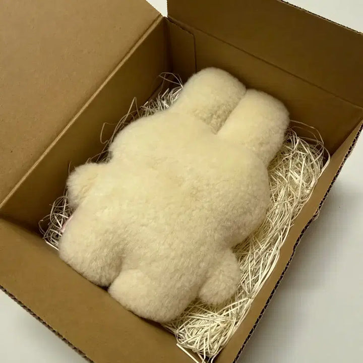 [BUNJANG] Fuwafuwamofumofu Artist Rabbit Plush Toy / fuwafuwamofumofu 작가님 토끼 인형
