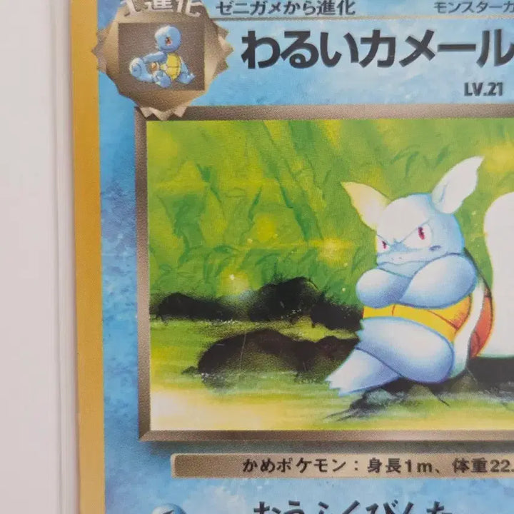 [BUNJANG] Pokemon Card Team Rocket Dark Wartortle (Old Back) Japanese / [일판] 포켓몬카드 올드백 빈티지 나쁜 어니부기 (Dark Wartortle) 정품 판매