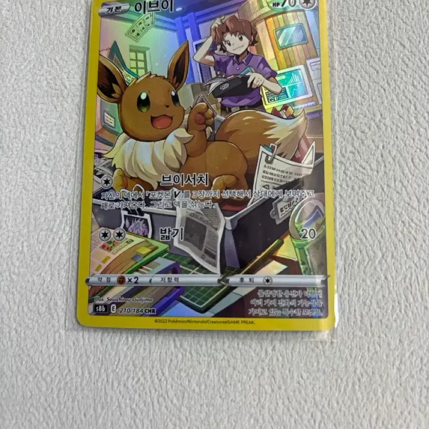 [BUNJANG] Pokemon Card Eevee chr / 이브이 chr 포켓몬카드