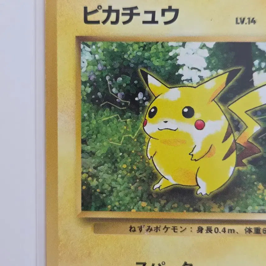 [BUNJANG] Vintage Pikachu LV.14 (Pikachu Jungle) Japanese Original Card / [일판] 올드백 빈티지 피카츄 (Pikachu) LV.14 정품 판매