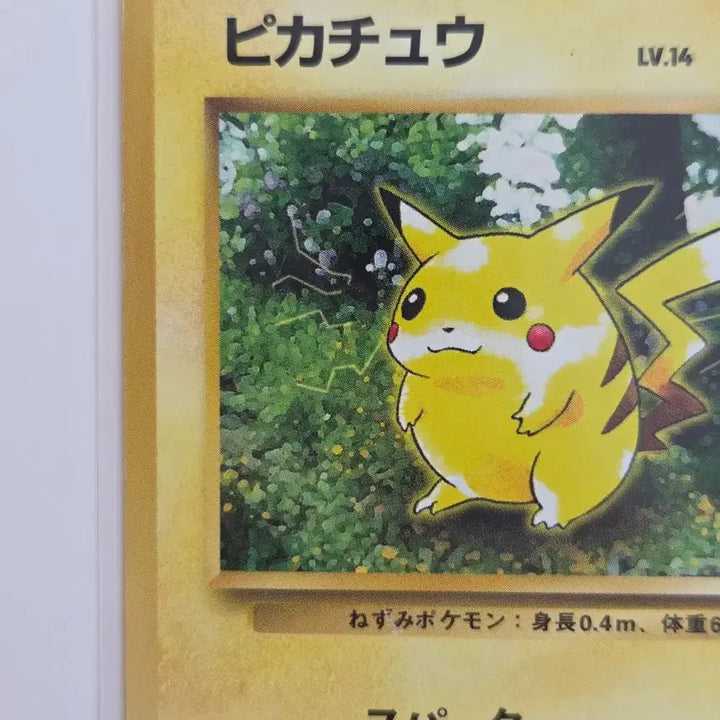 [BUNJANG] Vintage Pikachu LV.14 (Pikachu Jungle) Japanese Original Card / [일판] 올드백 빈티지 피카츄 (Pikachu) LV.14 정품 판매