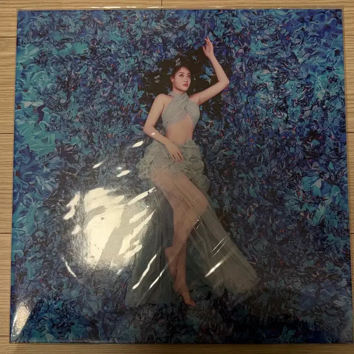 [BUNJANG] Devita American Gothic LP / 드비타 Devita American Gothic lp