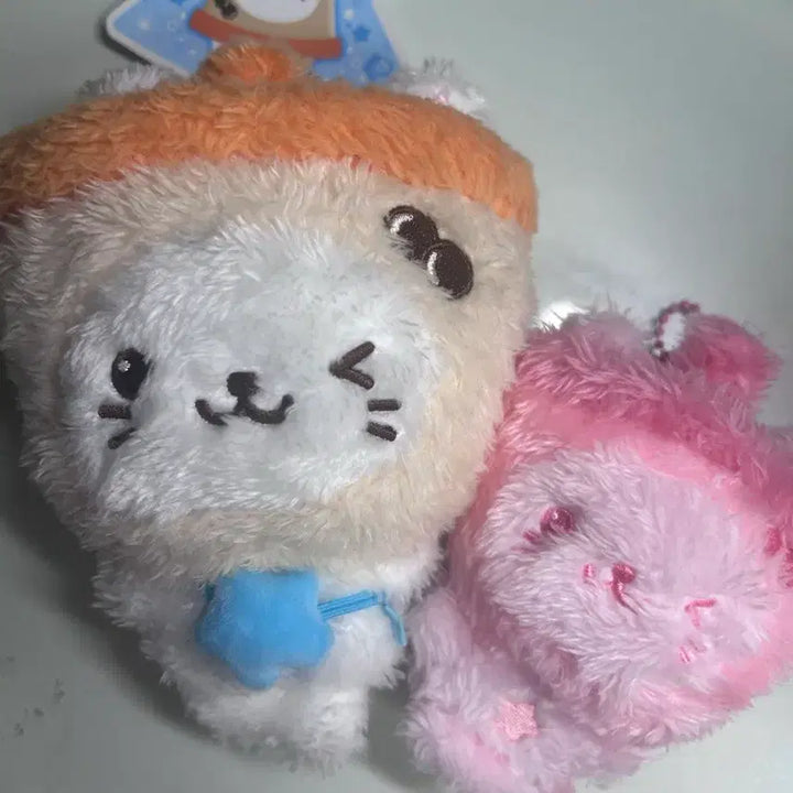 [BUNJANG] NCT WISH Yushi Bubble Cat Plush Bundle Set / 엔시티 위시 유우시 버블냥