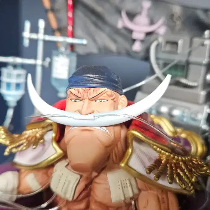 [BUNJANG] One Piece Whitebeard G5 Figure with Sake Cup Log Box / 원피스 g5 흰수염(파손유)  로그박스  술잔