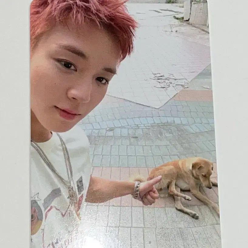 [BUNJANG] Park Ji Hoon RE:FLECT Lucky Draw Photocard / 박지훈 RE:FLECT POP-UP STORE 럭키드로우 사운드웨이브 포토카드
