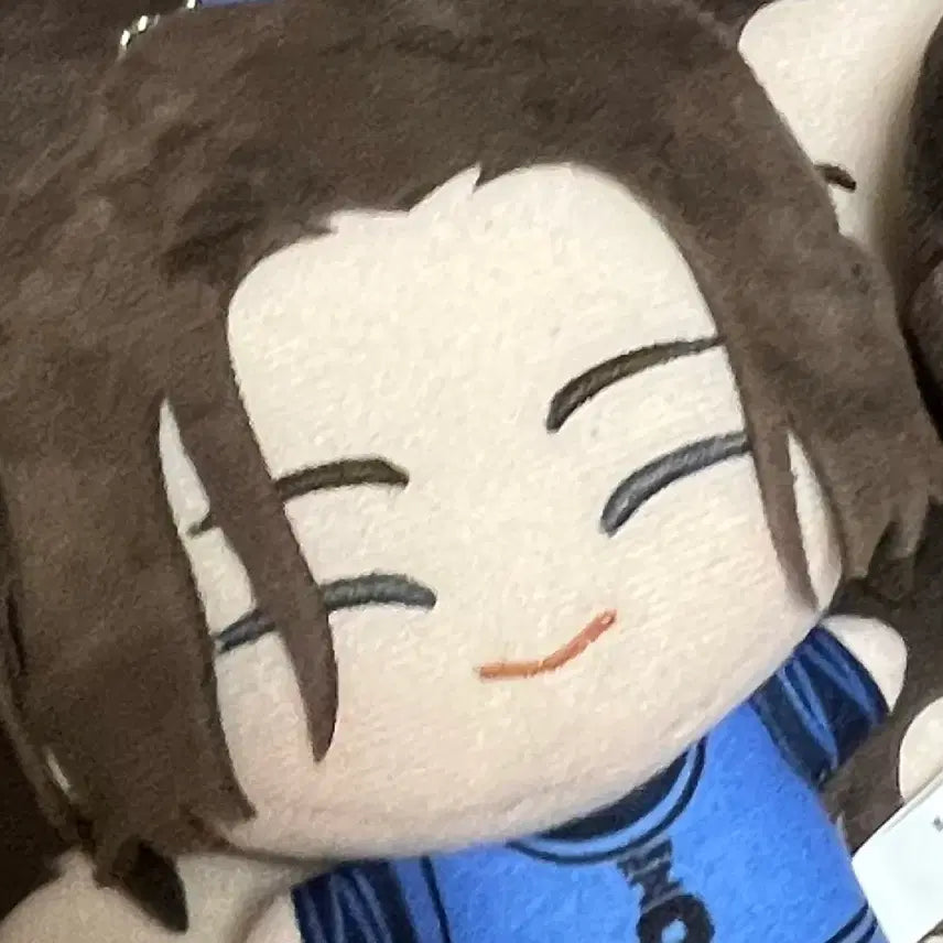 [BUNJANG] Blue Lock Watari Kun Plushed Doll / 블루록 쿠온 와타루 누이