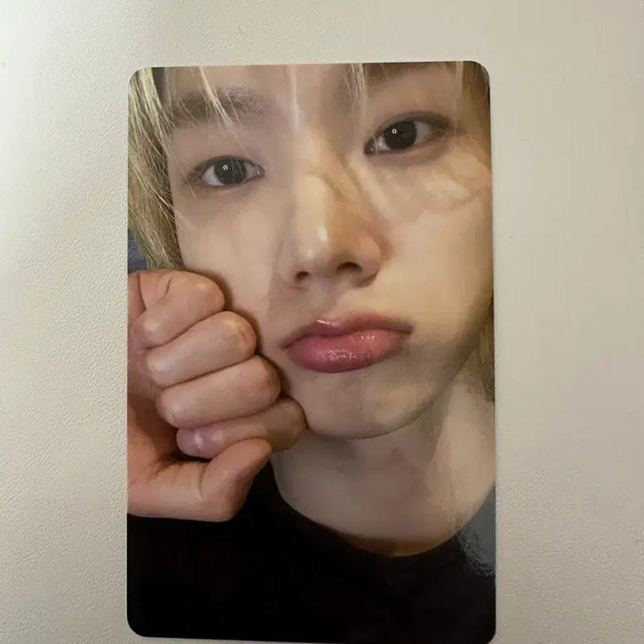[BUNJANG] BOYNEXTDOOR Sungho Weverse POB Photocard / 보이넥스트도어 보넥도 스윗홈 위버스 특전 성호 포카 판매