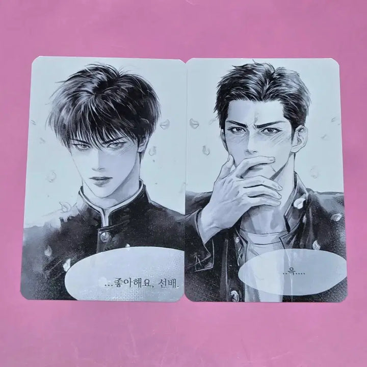 [BUNJANG] Slam Dunk Seotaeung Jeongdaeman (Taewoong Daeman) Double-Sided Photocard Set / 슬램덩크 십육님 서태웅 정대만 태웅대만 포카