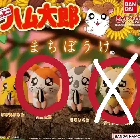 [BUNJANG] Hamtaro Gacha Figure Set (Parts 1 &amp; 2) / 방가방가햄토리 마치보케1,2탄 가챠 일괄