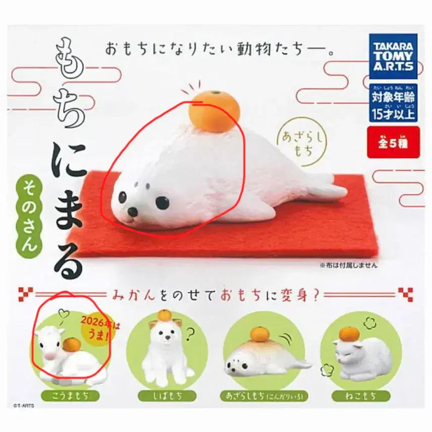 [BUNJANG] Mochinimal Seal + Horse Gacha Bundle Set / 모찌니멀 물범+말 가챠 일괄
