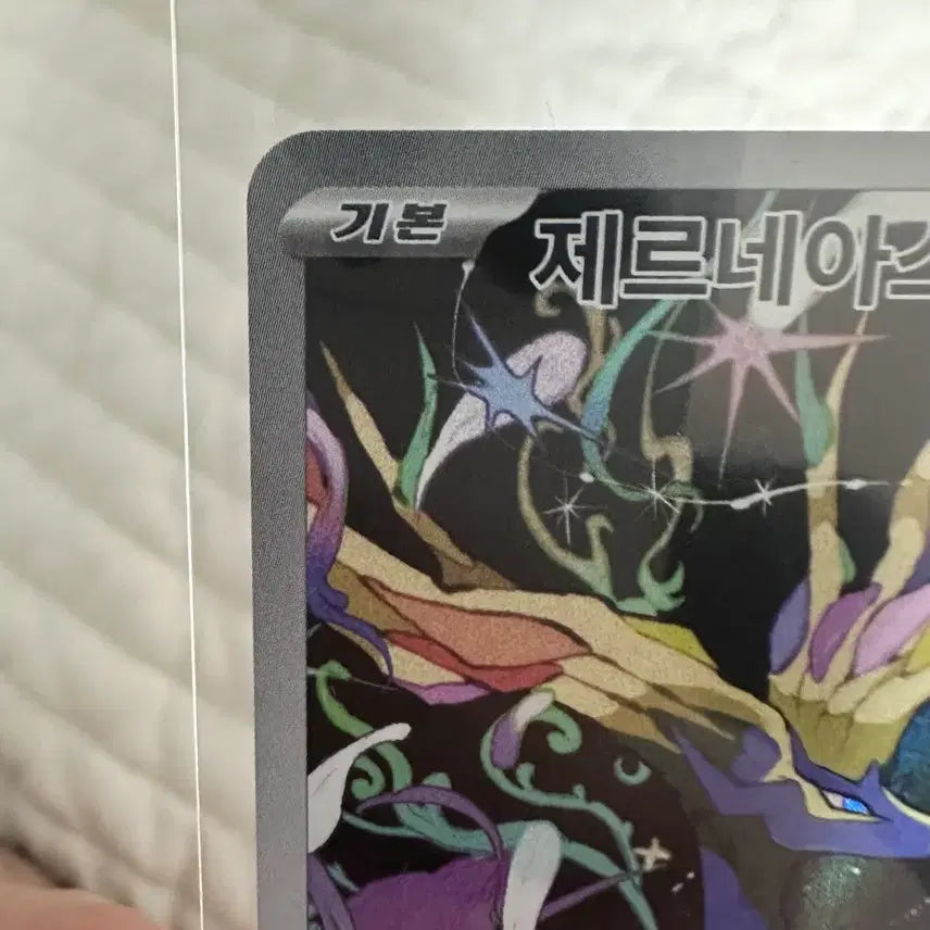 [BUNJANG] Xerneas AR, R Grade Bundle Set / 제르네아스 세트 일괄