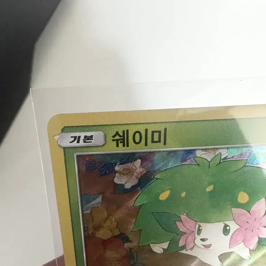 [BUNJANG] Pokemon Card Shaymin Rare SM7B B 013/050 R / 포켓몬카드 쉐이미 레어